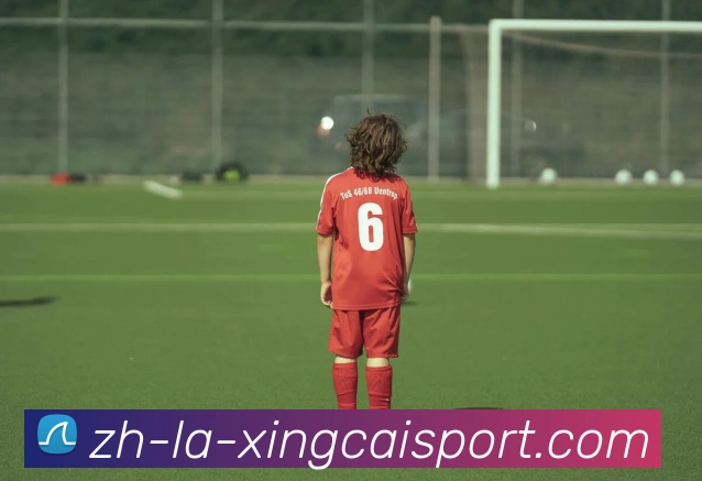 杏彩体育平台生态图